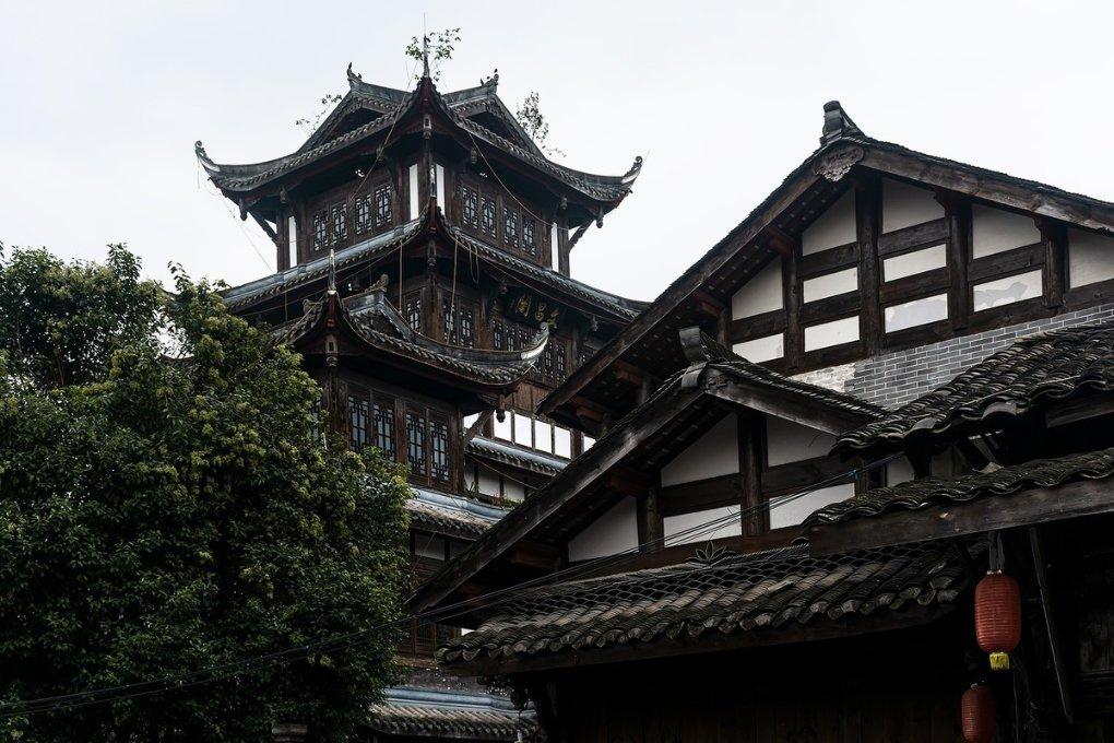 逃离马儿森林